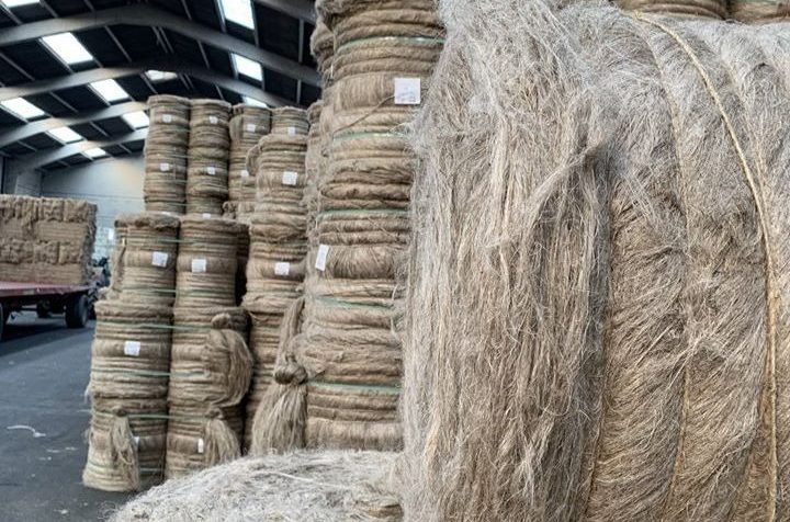 Des rouleaux de lin dans une usine de teillage.